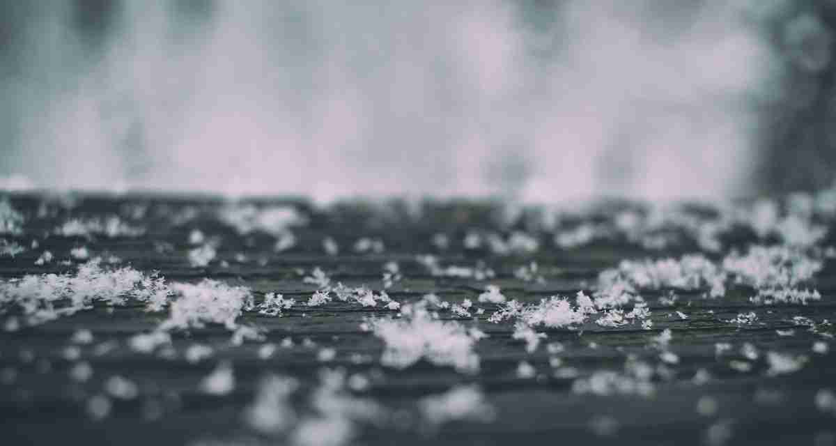 护眼壁纸 雪 特写 细节