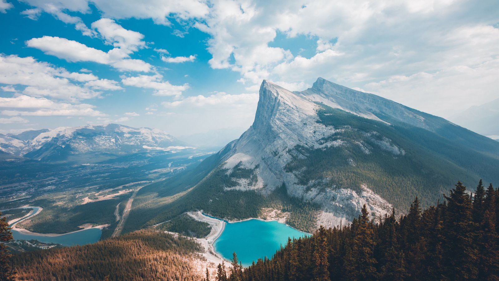 百家号被封停怎么解决