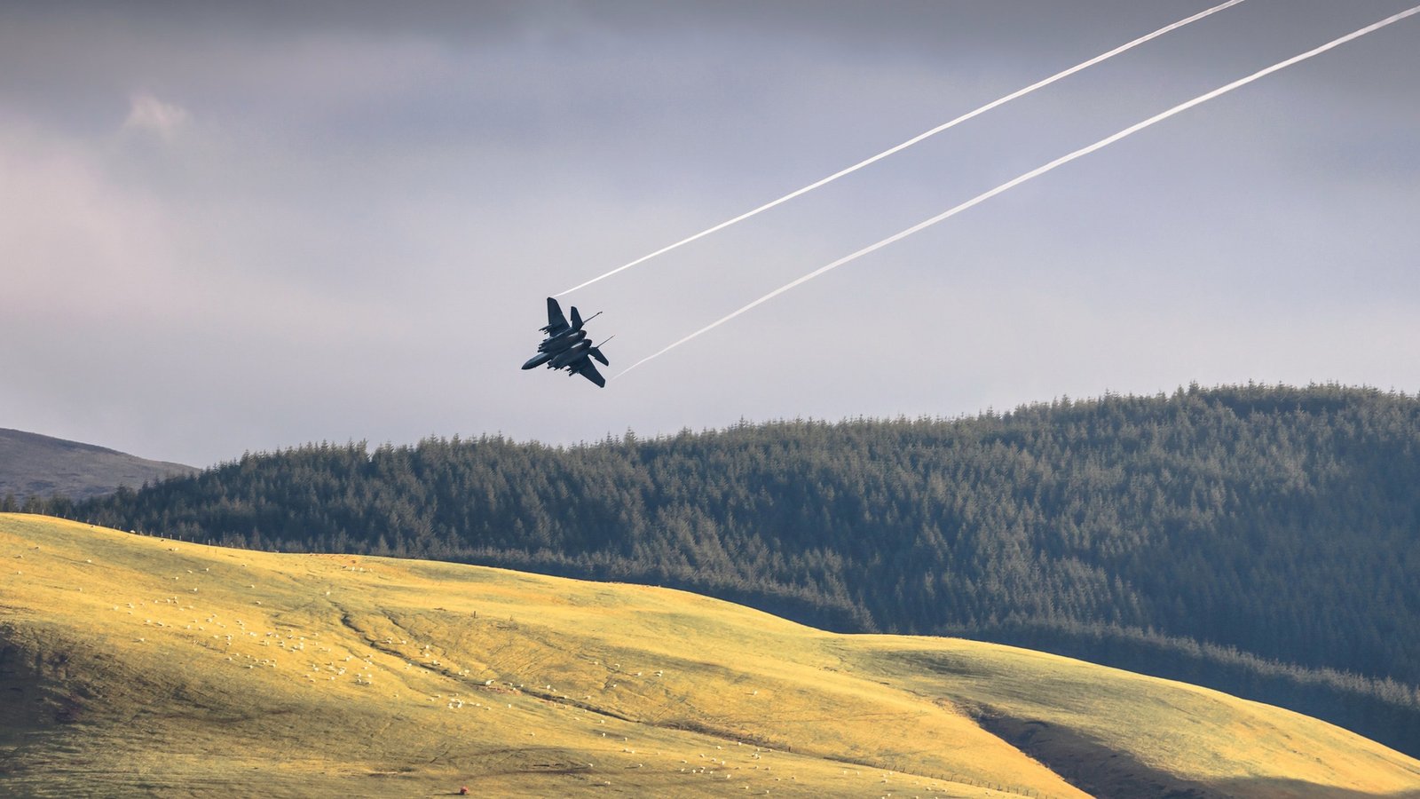 头条热搜榜:头条搜索不收录怎么办