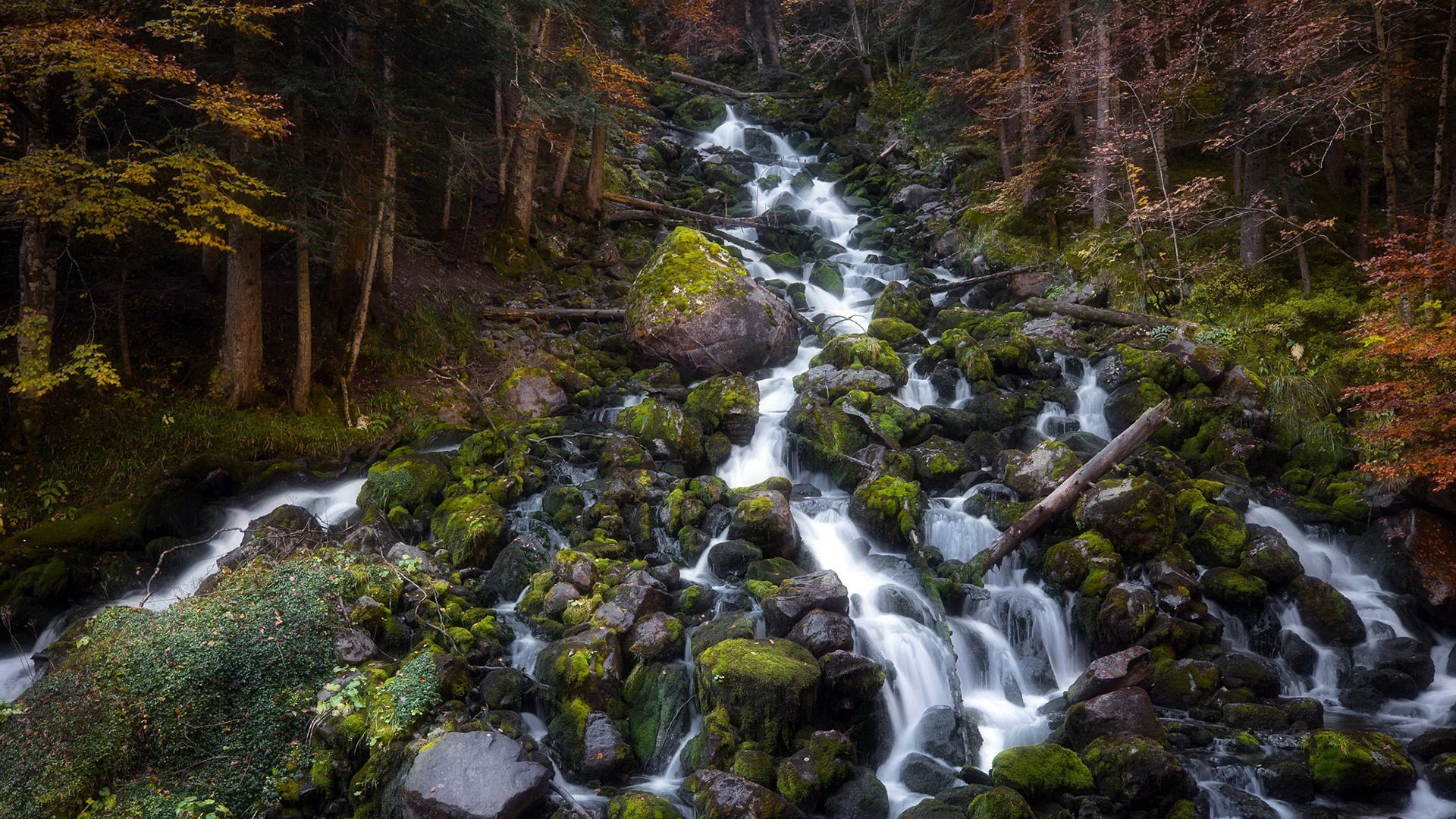 自然风光,深秋,小溪,山坡,树林,风景大片