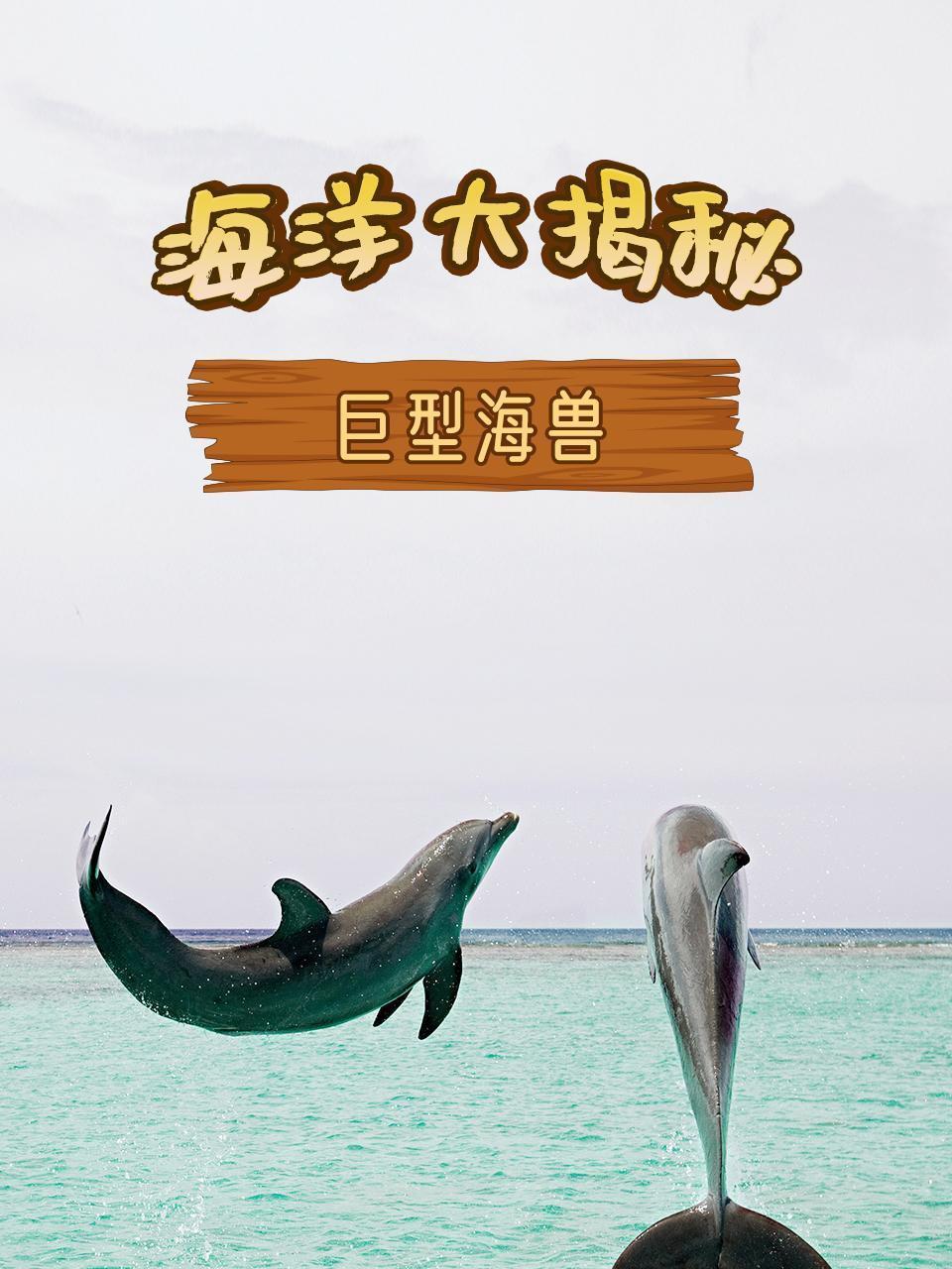 海洋大揭秘之巨型海兽