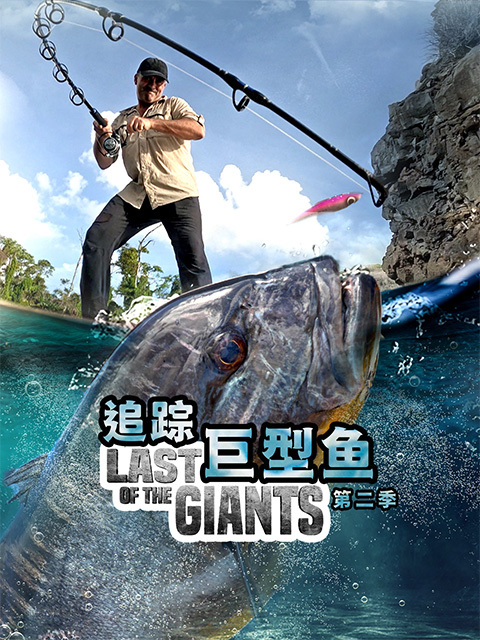 追踪巨型鱼 第二季