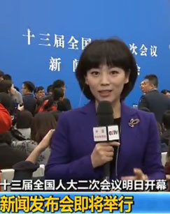 2019十三届全国人大二次会议新闻发布会