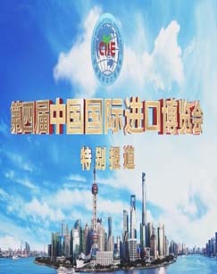 第四届中国国际进口博览会开幕式