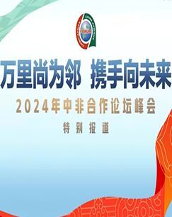 2024年中非合作论坛峰会特别报道