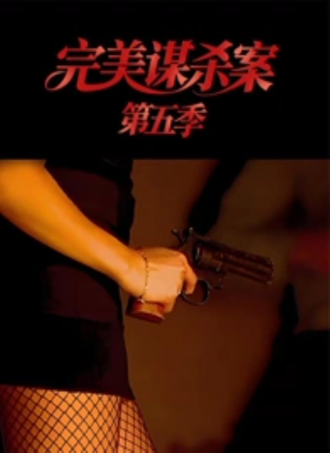 完美谋杀案第五季（The Perfect Murder Season 5）