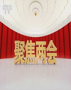 2023十四届全国人大一次会议特别节目