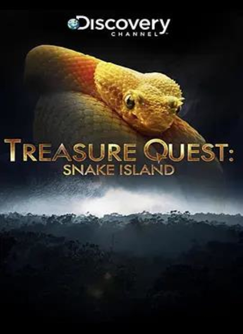 寻宝：蛇岛第2B季（Treasure Quest: Snake Island Season 2B）