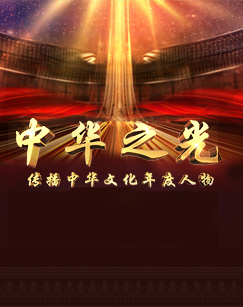 2019第七届中华之光——传播中华文化年度人物