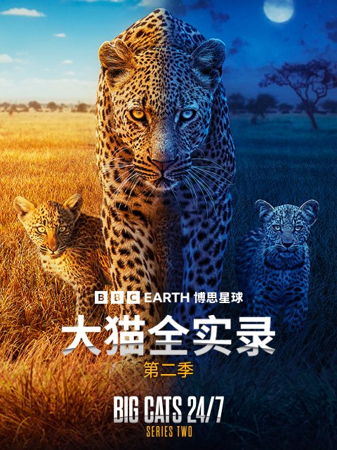 大猫全实录 第二季