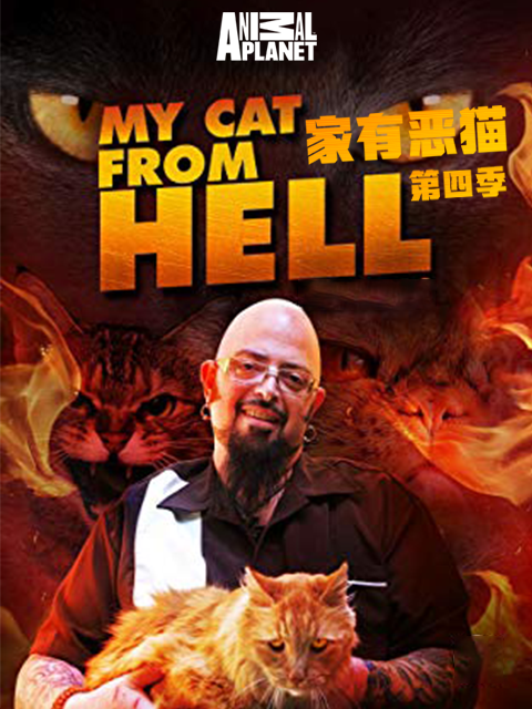 家有恶猫 第四季