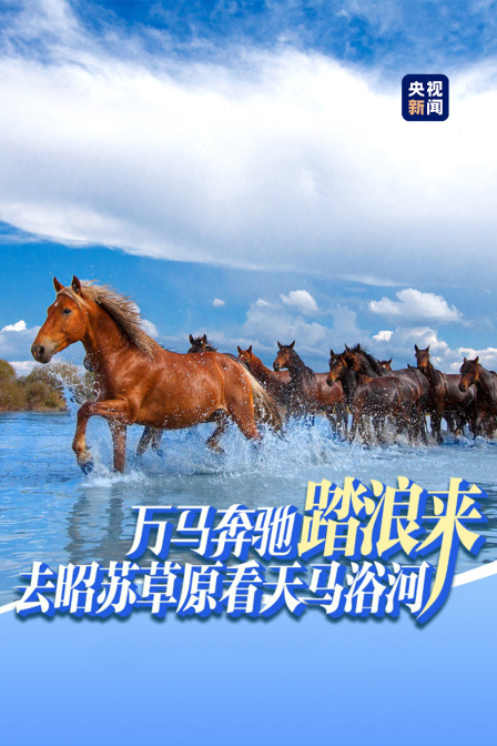 去昭苏草原看天马浴河