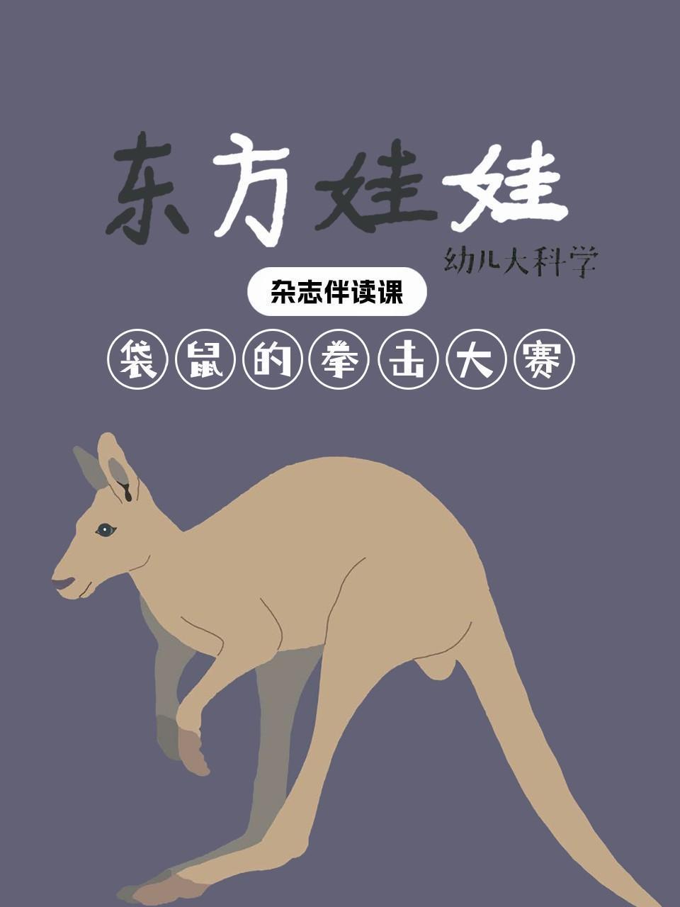 东方娃娃幼儿大科学：袋鼠的拳击大赛