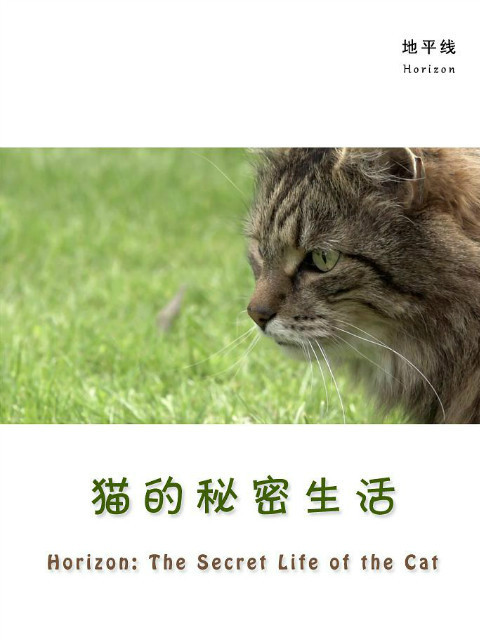 猫的秘密生活