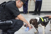 06刘潇潇 训犬咖的华丽蜕变