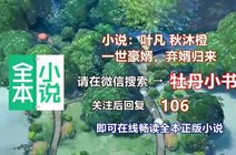 叶凡秋沐橙小说最新章_360资讯搜索