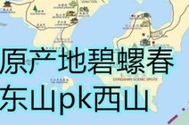 苏州东山北岭山碧螺春2021-07-22苏州东山碧螺春与西山碧螺春哪家好?