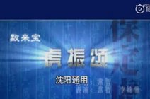 dmmmmo2019-02-17【虎振颂】女版鼠来宝,里面的金句可不少,美国克林顿