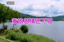 摄影师恺恺恺2021-11-26一首感恩歌曲《爹娘恩情还不够》每次听都让人