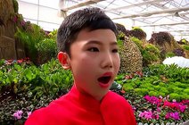 夔甲照相馆2021-02-17王鑫冉冰娥婚礼视频新浪微博717915872021-11-11
