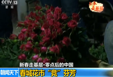 新春走基层·零点后的中国：春城花市“竞”芬芳