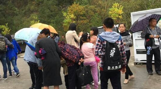 陕西黄陵森林公园上百游客遭群蜂攻击 哭声一片