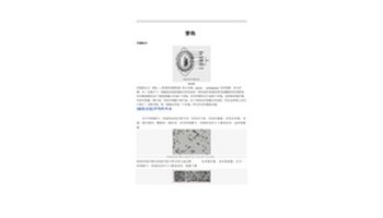 芽孢杆菌属 bacillus)革兰氏染色阳性菌.产生芽孢,需氧或兼性厌氧.