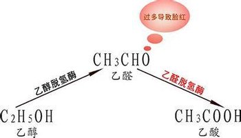 乙醛脱氢酶胶囊