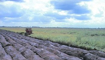 东北黑土地