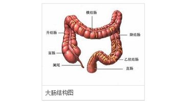 直肠类癌