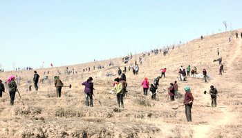 张家川-甘肃省天水市下辖回族自治县