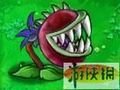 必须种植在大嘴花上.