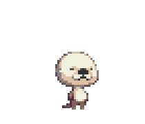 顿悟的海獭.png