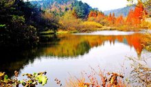 马鬃岭