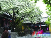 龙洞庵糯米茶