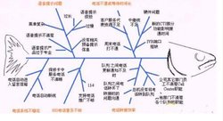 外文名称 fishbone analysis 目录 展开 概述 编辑本段 鱼骨分析法是图片