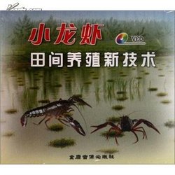 小龙虾养殖技术_360百科