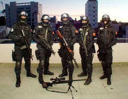 中国台湾的<em>特警队</em>正式名称为\特勤队\