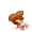 花生.png