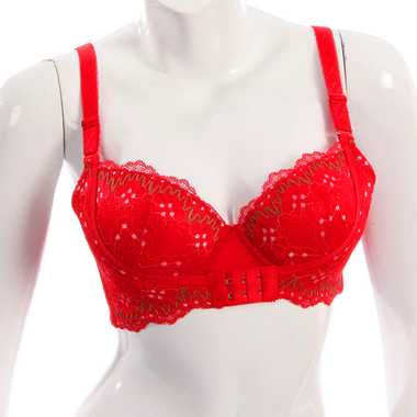 大红色创意刺绣<em>前后扣文胸</em>