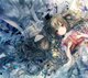 浮生.jpg
