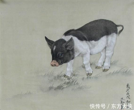 属猪男和属虎女的婚姻怎么样,属猪男和属虎女的婚姻怎么样 合吗