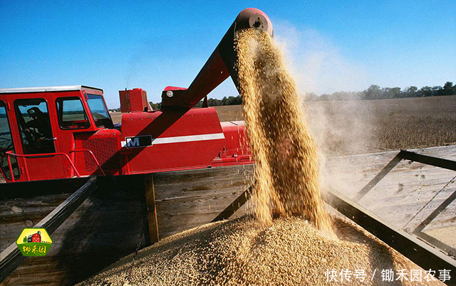 中美贸易摩擦,农产品行业开始震动,影响最大的是这几类!