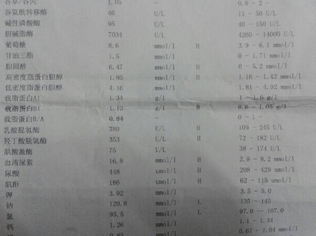 24小时蛋白定量检查出尿肌酐高是什么问题啊