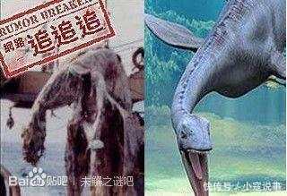 未解之谜大全真实水怪 t0102b1d6a8eb43f799.jpg?size=320x219
