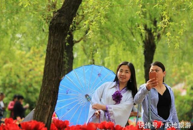 花卉摄影:醉人郁金香