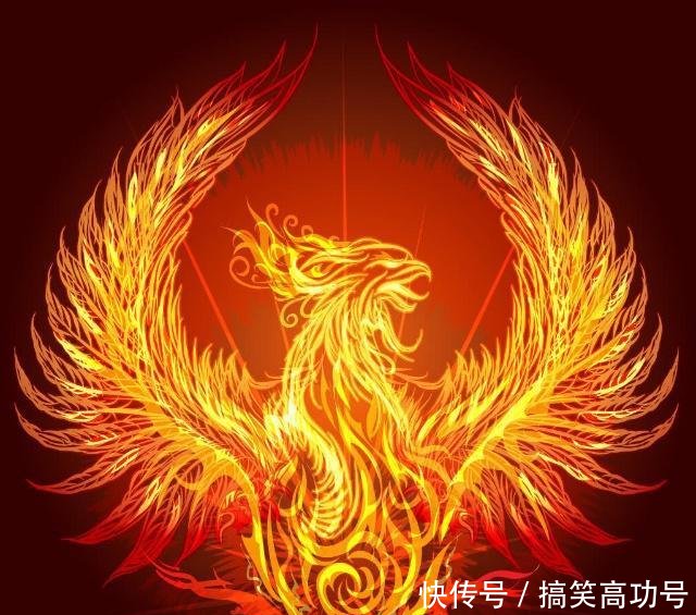 t01044cf80a5c6250a1.jpg