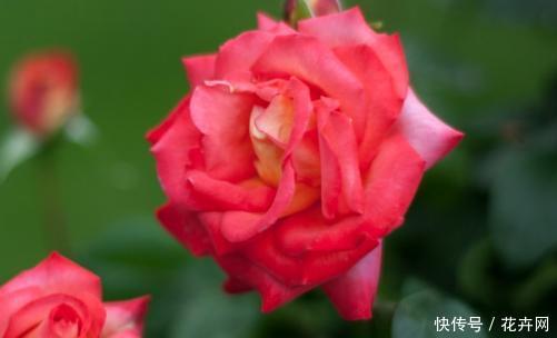 t010525f4db62aa2b0c.jpg