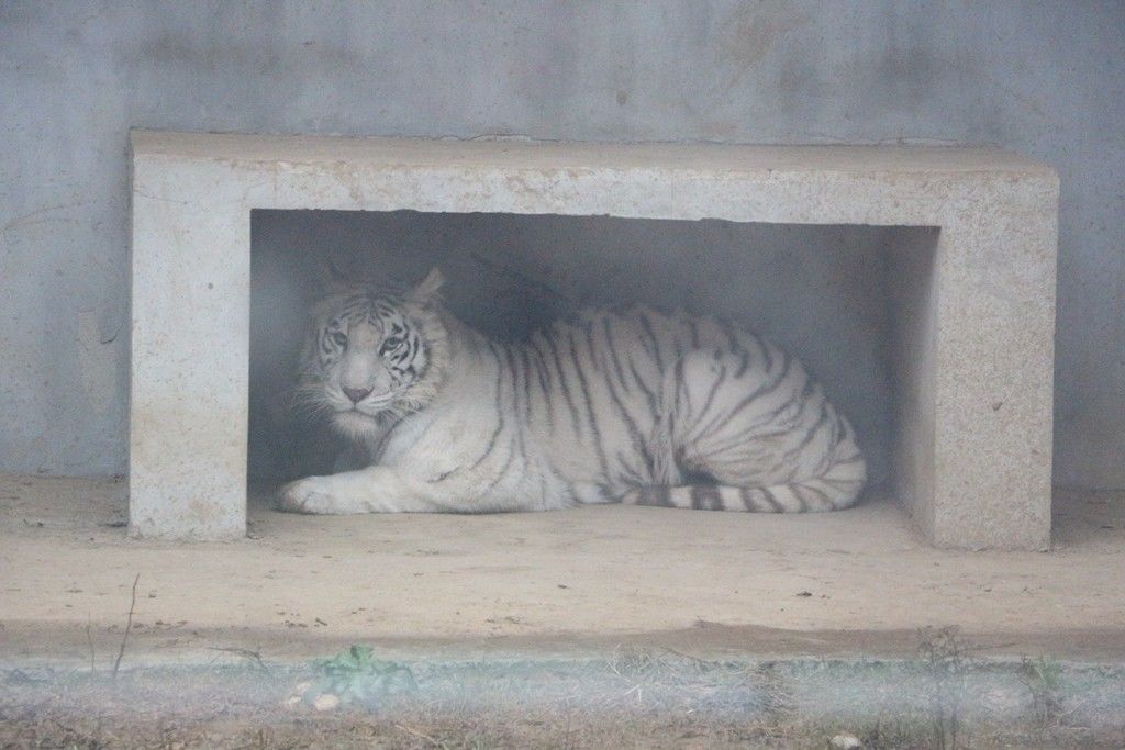 t0105678756d4bbcdd7.jpg?size=1024x683