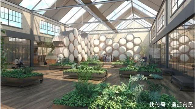 环保公司是做什么的